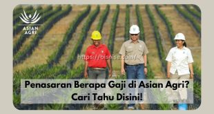 Gaji di Asian Agri