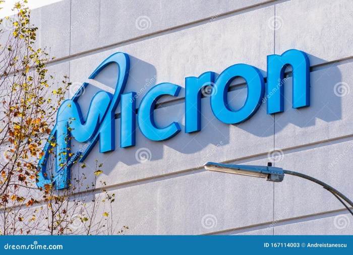 Micron technology inc